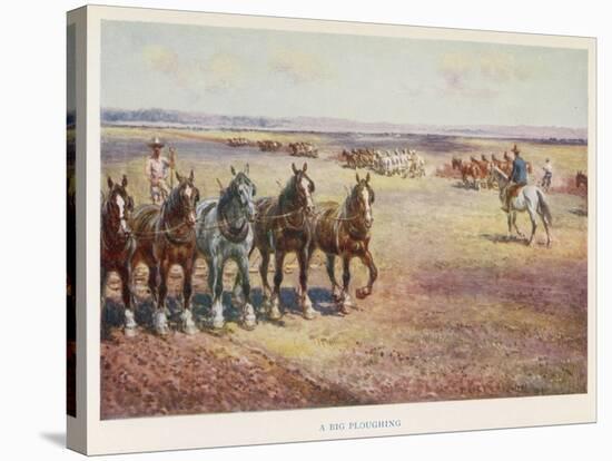 Ploughing in Australia-Percy F.s. Spence-Stretched Canvas