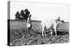 Ploughing in India, 1917-null-Stretched Canvas