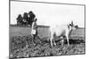 Ploughing in India, 1917-null-Mounted Giclee Print