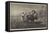 Ploughing in Lower Egypt-Richard Beavis-Framed Stretched Canvas