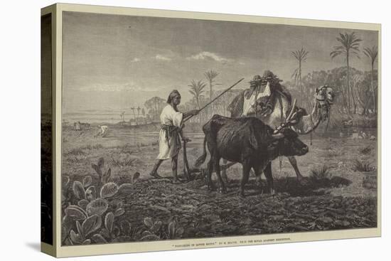 Ploughing in Lower Egypt-Richard Beavis-Stretched Canvas