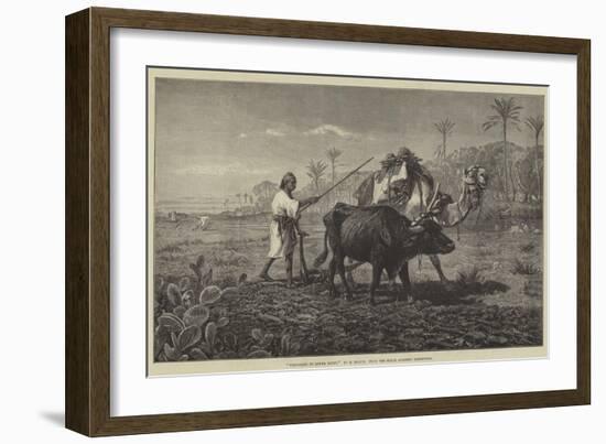 Ploughing in Lower Egypt-Richard Beavis-Framed Giclee Print