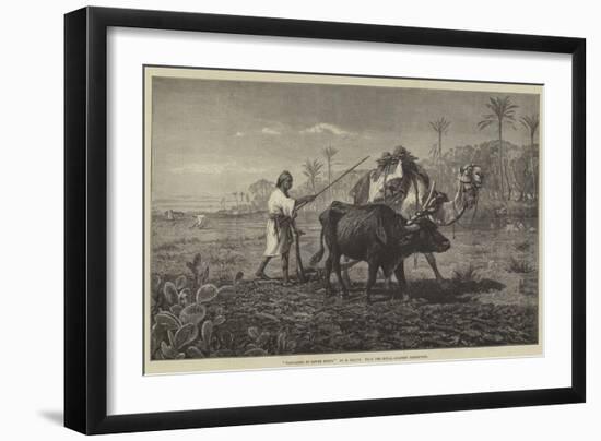 Ploughing in Lower Egypt-Richard Beavis-Framed Giclee Print