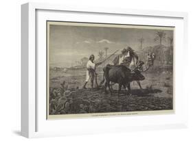 Ploughing in Lower Egypt-Richard Beavis-Framed Giclee Print