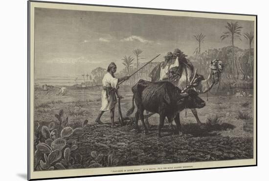 Ploughing in Lower Egypt-Richard Beavis-Mounted Giclee Print