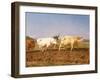 Ploughing in the Nivernais, 1850-Rosa Bonheur-Framed Giclee Print