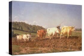 Ploughing in the Nivernais, 1850-Rosa Bonheur-Stretched Canvas