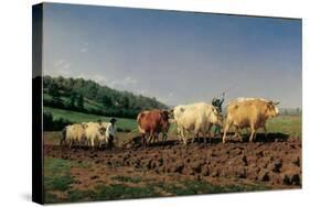 Ploughing in the Region of Nevers: Clearance-Rosa Bonheur-Stretched Canvas