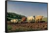 Ploughing in the Region of Nevers: Clearance-Rosa Bonheur-Framed Stretched Canvas