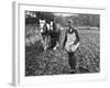 Ploughing in the Seed after Hand Sowing on a Farm in Ireland-null-Framed Photographic Print
