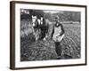 Ploughing in the Seed after Hand Sowing on a Farm in Ireland-null-Framed Photographic Print