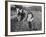 Ploughing in the Seed after Hand Sowing on a Farm in Ireland-null-Framed Photographic Print