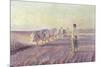 Ploughing in the Ukraine, 1892 (Oil on Canvas)-Leon Wyczolkowski-Mounted Giclee Print