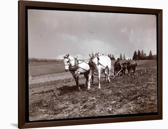 Ploughing on the Property of Alton Brooks Parker, Esopus Creek, New York, 1904-Byron Company-Framed Giclee Print