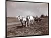 Ploughing on the Property of Alton Brooks Parker, Esopus Creek, New York, 1904-Byron Company-Mounted Giclee Print