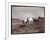 Ploughing on the Property of Alton Brooks Parker, Esopus Creek, New York, 1904-Byron Company-Framed Giclee Print