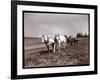 Ploughing on the Property of Alton Brooks Parker, Esopus Creek, New York, 1904-Byron Company-Framed Giclee Print