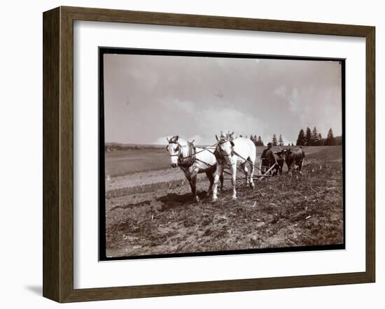 Ploughing on the Property of Alton Brooks Parker, Esopus Creek, New York, 1904-Byron Company-Framed Giclee Print