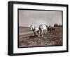 Ploughing on the Property of Alton Brooks Parker, Esopus Creek, New York, 1904-Byron Company-Framed Giclee Print