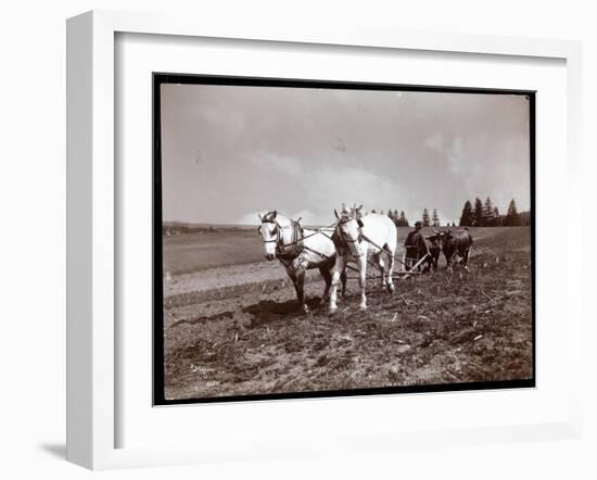 Ploughing on the Property of Alton Brooks Parker, Esopus Creek, New York, 1904-Byron Company-Framed Giclee Print