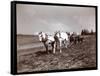 Ploughing on the Property of Alton Brooks Parker, Esopus Creek, New York, 1904-Byron Company-Framed Stretched Canvas
