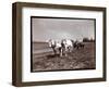 Ploughing on the Property of Alton Brooks Parker, Esopus Creek, New York, 1904-Byron Company-Framed Premium Giclee Print