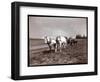 Ploughing on the Property of Alton Brooks Parker, Esopus Creek, New York, 1904-Byron Company-Framed Premium Giclee Print