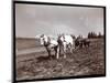 Ploughing on the Property of Alton Brooks Parker, Esopus Creek, New York, 1904-Byron Company-Mounted Premium Giclee Print