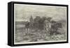 Ploughing on the Sussex Downs-Frank Dadd-Framed Stretched Canvas