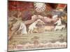 Ploughing, September, from Cycle of Months, Fresco, 15th Century, Buonconsiglio Castle-Venceslao-Mounted Giclee Print