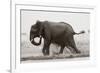 Ploughing Through-null-Framed Giclee Print