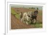 Ploughing with a Pair of Horses-H. Wheelwright-Framed Art Print