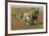 Ploughing with a Pair of Horses-H. Wheelwright-Framed Art Print