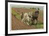 Ploughing with a Pair of Horses-H. Wheelwright-Framed Premium Giclee Print