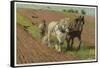 Ploughing with a Pair of Horses-H. Wheelwright-Framed Stretched Canvas