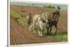 Ploughing with a Pair of Horses-H. Wheelwright-Stretched Canvas