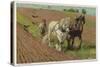 Ploughing with a Pair of Horses-H. Wheelwright-Stretched Canvas