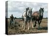 Ploughing with Shire Horses, Derbyshire, England, United Kingdom-Michael Short-Stretched Canvas