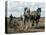 Ploughing with Shire Horses, Derbyshire, England, United Kingdom-Michael Short-Stretched Canvas