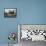 Ploughing with Shire Horses, Derbyshire, England, United Kingdom-Michael Short-Framed Stretched Canvas displayed on a wall