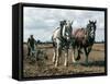 Ploughing with Shire Horses, Derbyshire, England, United Kingdom-Michael Short-Framed Stretched Canvas