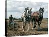 Ploughing with Shire Horses, Derbyshire, England, United Kingdom-Michael Short-Stretched Canvas