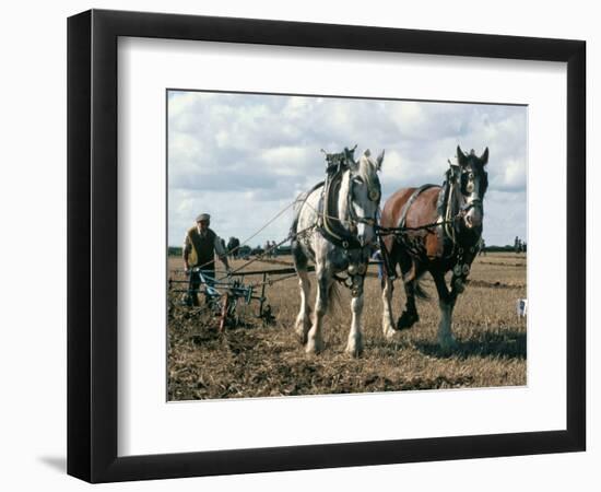 Ploughing with Shire Horses, Derbyshire, England, United Kingdom-Michael Short-Framed Photographic Print