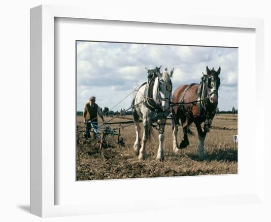 Ploughing with Shire Horses, Derbyshire, England, United Kingdom-Michael Short-Framed Photographic Print