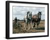 Ploughing with Shire Horses, Derbyshire, England, United Kingdom-Michael Short-Framed Photographic Print