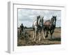 Ploughing with Shire Horses, Derbyshire, England, United Kingdom-Michael Short-Framed Photographic Print