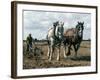 Ploughing with Shire Horses, Derbyshire, England, United Kingdom-Michael Short-Framed Photographic Print