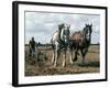 Ploughing with Shire Horses, Derbyshire, England, United Kingdom-Michael Short-Framed Photographic Print