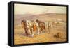 Ploughing-Joseph Harold Swanwick-Framed Stretched Canvas