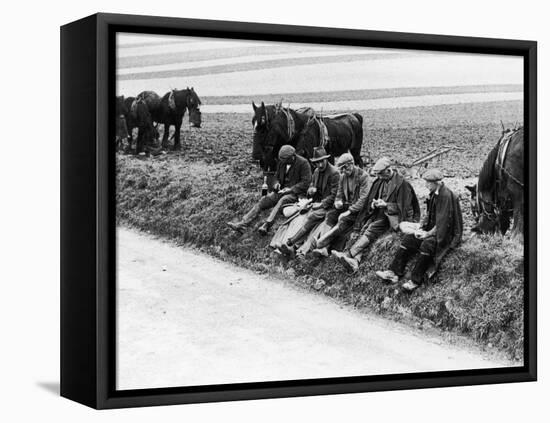 Ploughman's Lunch-null-Framed Stretched Canvas